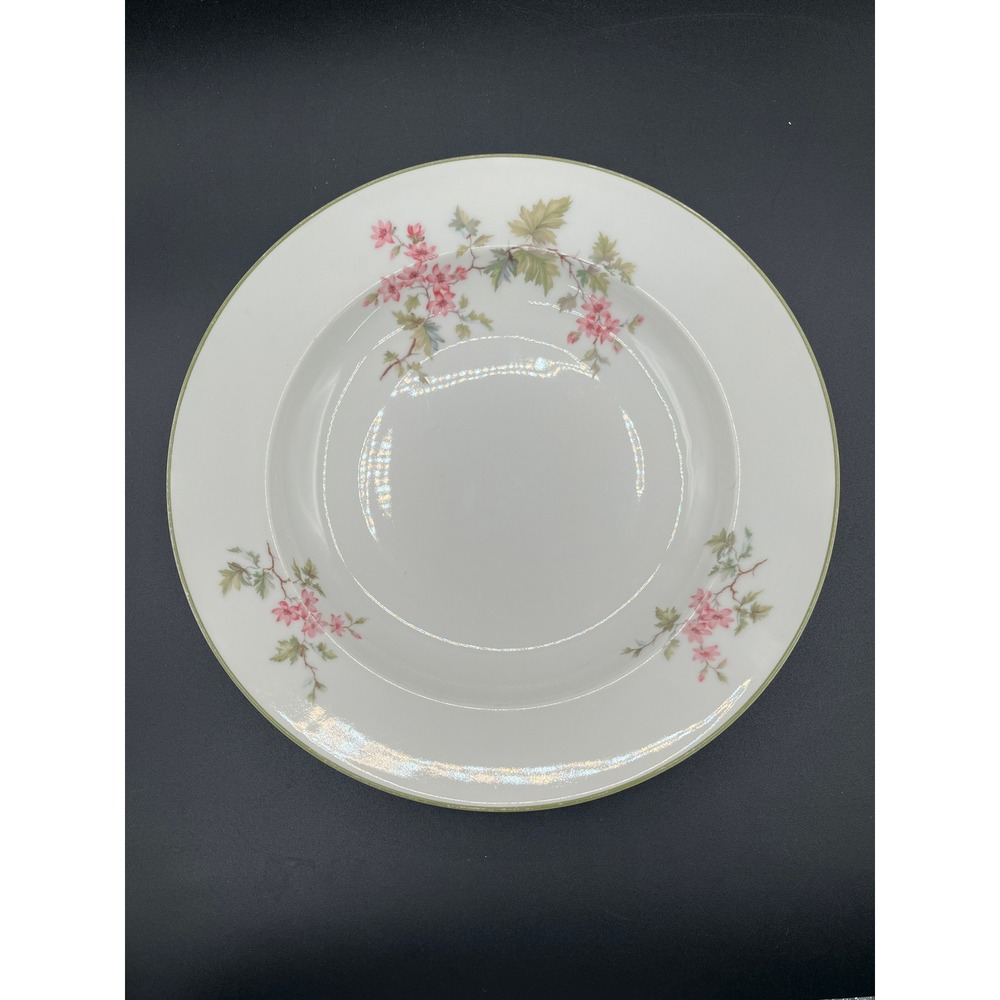 VTG Hutschenreuther Selb Bavaria Germany Soup Salad Bowl-9.25" D Floral Shallow‎
